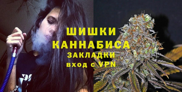 шишки Аркадак