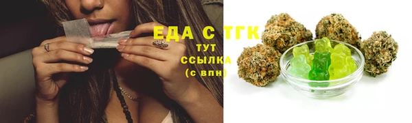 шишки Аркадак