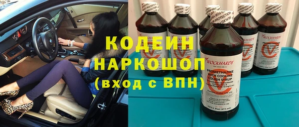 шишки Аркадак