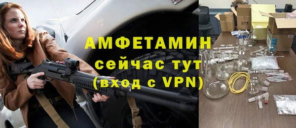 шишки Аркадак