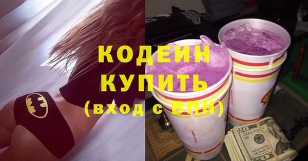 шишки Аркадак