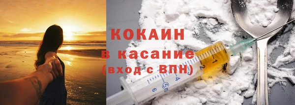 шишки Аркадак